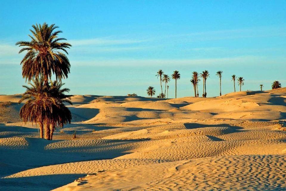 Camp Sahara Holidays M'Hamid Exterior photo