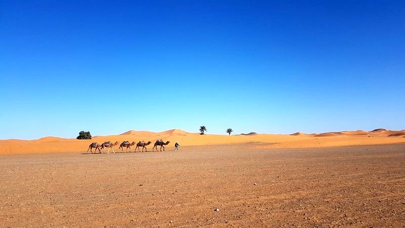 Camp Sahara Holidays M'Hamid Exterior photo