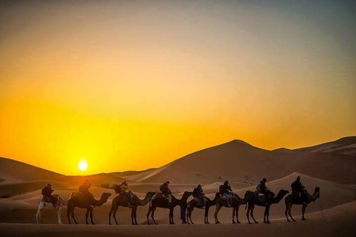 Camp Sahara Holidays M'Hamid Exterior photo