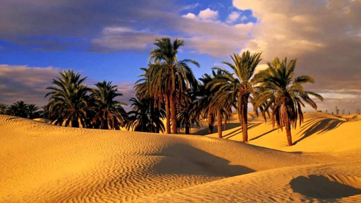 Camp Sahara Holidays M'Hamid Exterior photo