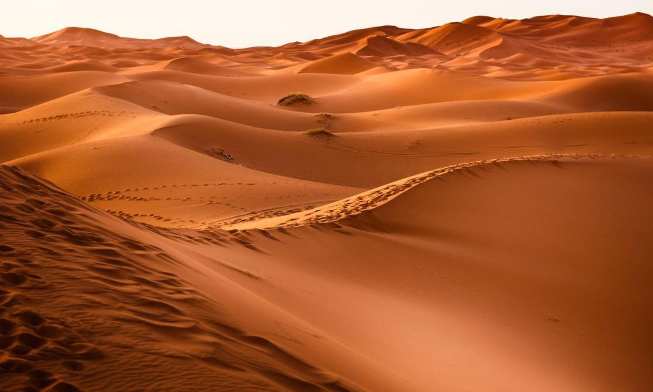 Camp Sahara Holidays M'Hamid Exterior photo