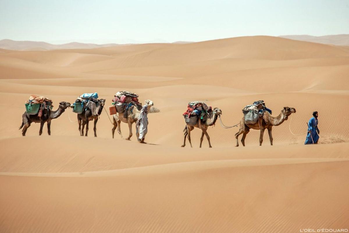 Camp Sahara Holidays M'Hamid Exterior photo